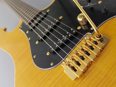 EXPERT-OS/FM Vintage Natural