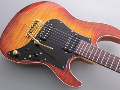 Order Gallery - 過去のオーダー品 | フジゲン オンラインショップ