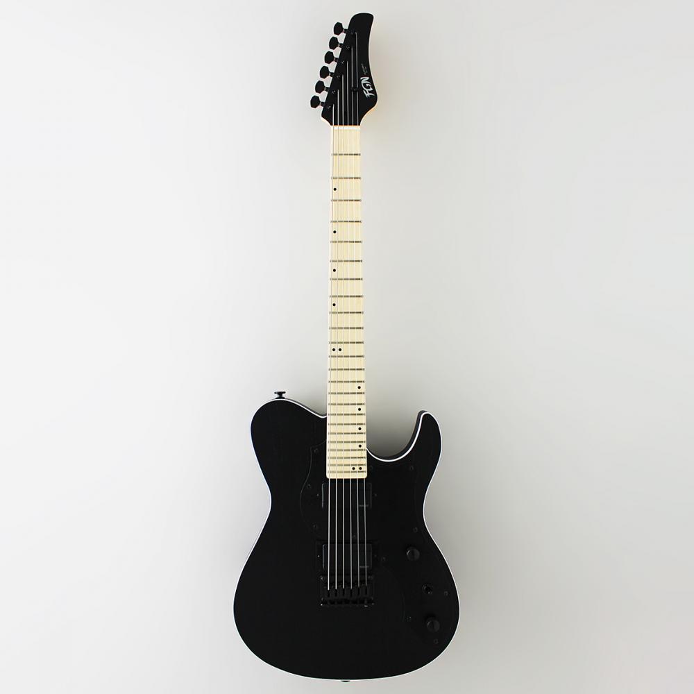 FGN J-Standard JIL2 フジゲン - 器材