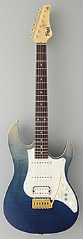 Electric Guitar |