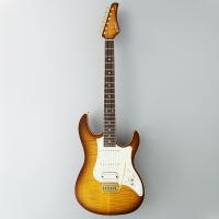 EOS-FM/Brown Sunburst : Special Spot Gallery |EOS-FM/Brown 